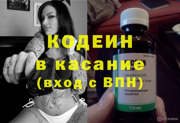 индика Надым