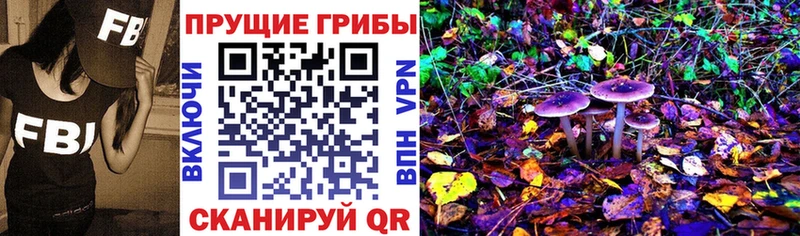 сайты даркнета телеграм  ссылка на мегу зеркало  Елизаветинская  Галлюциногенные грибы Psilocybine cubensis 