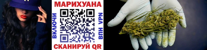 Бошки Шишки индика  Елизаветинская 